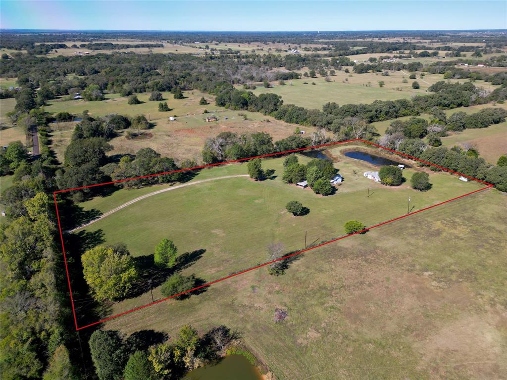 an aerial view of a forest