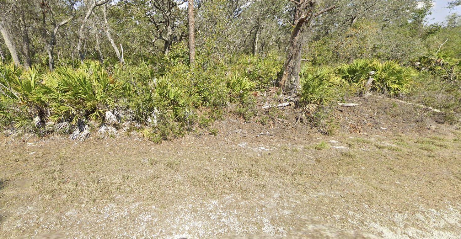 a view of a yard with a tree