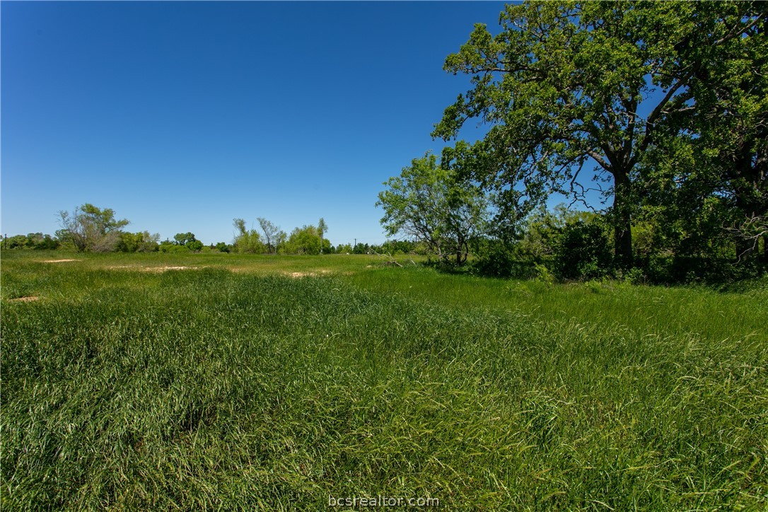 a view of a grassy field with trees