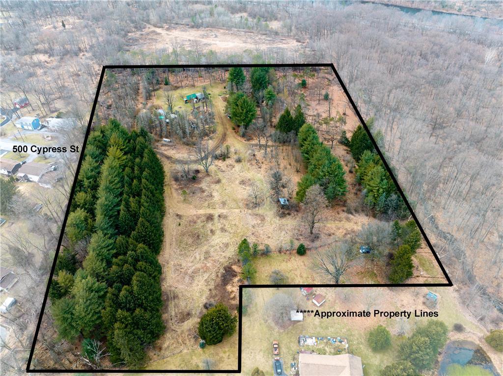 an aerial view of a yard with plants