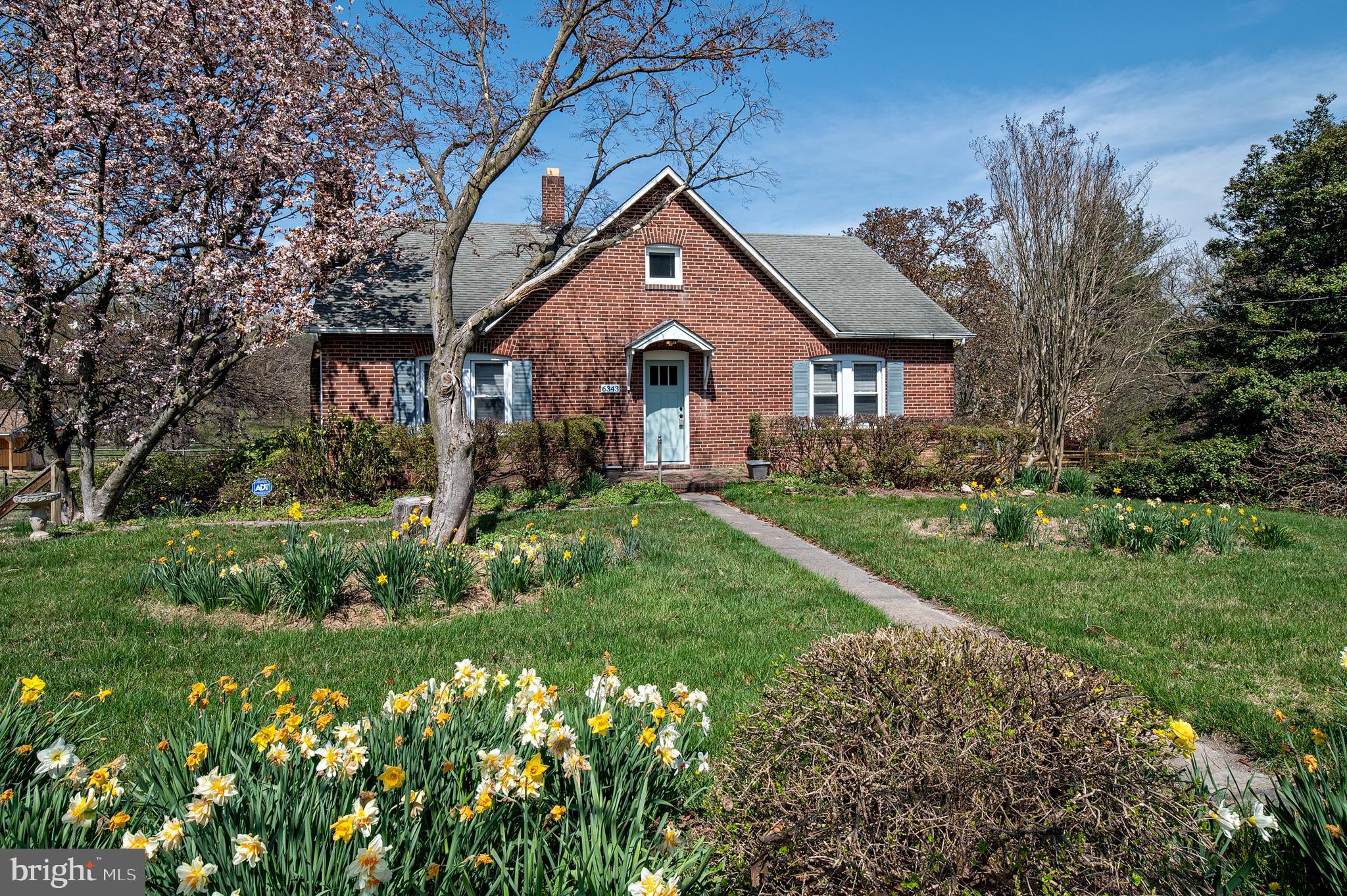 a front view of house with yard and green space