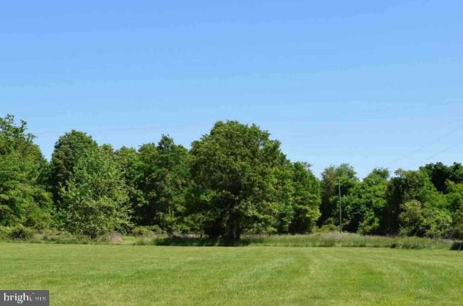 a view of a field with trees in the background