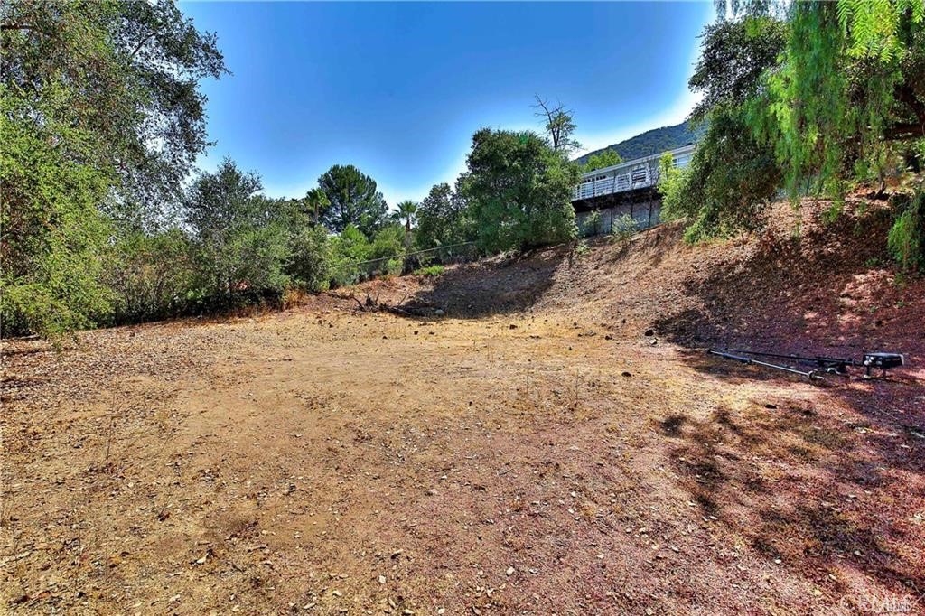 a view of a dry yard with trees