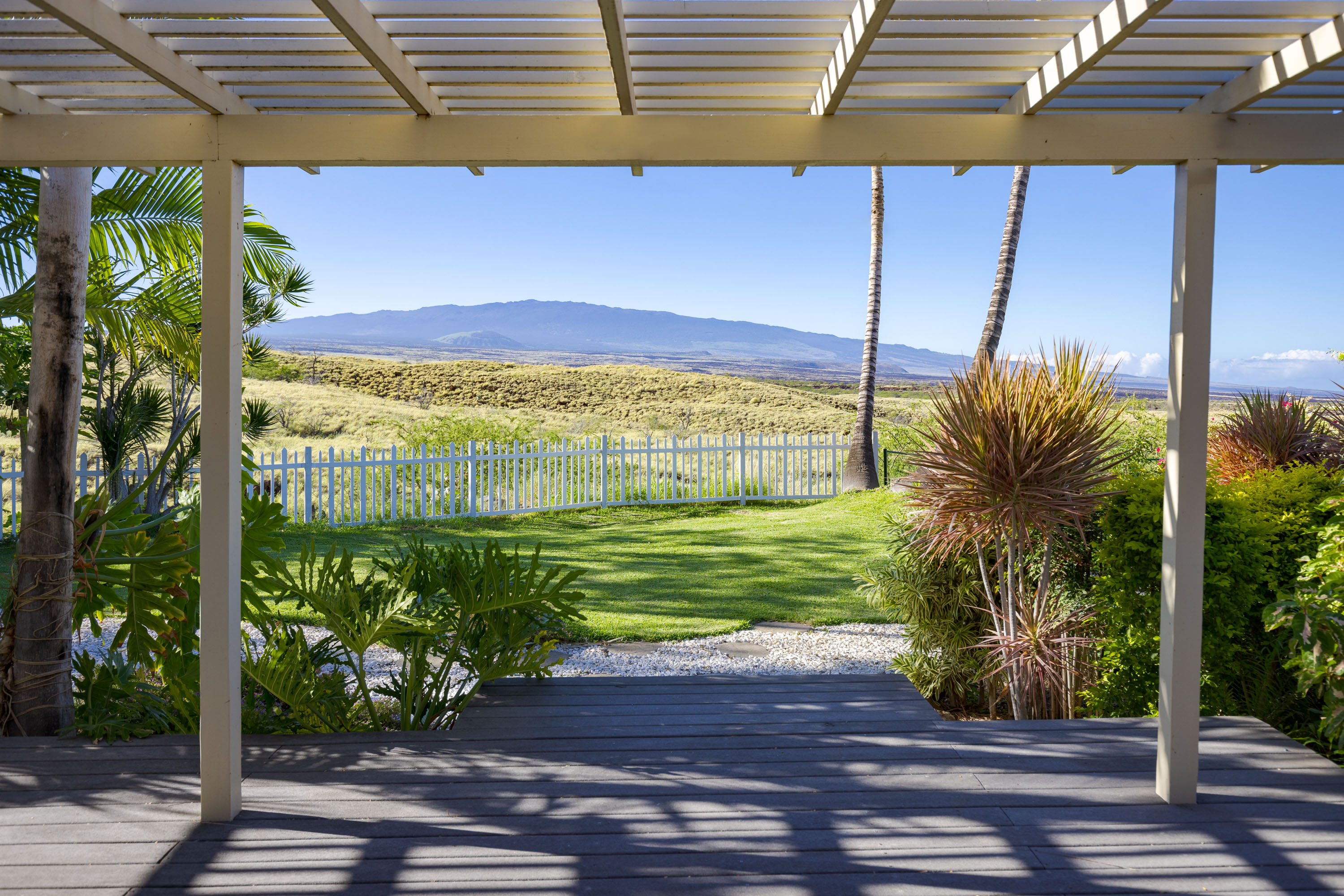 a view of a backyard of the house