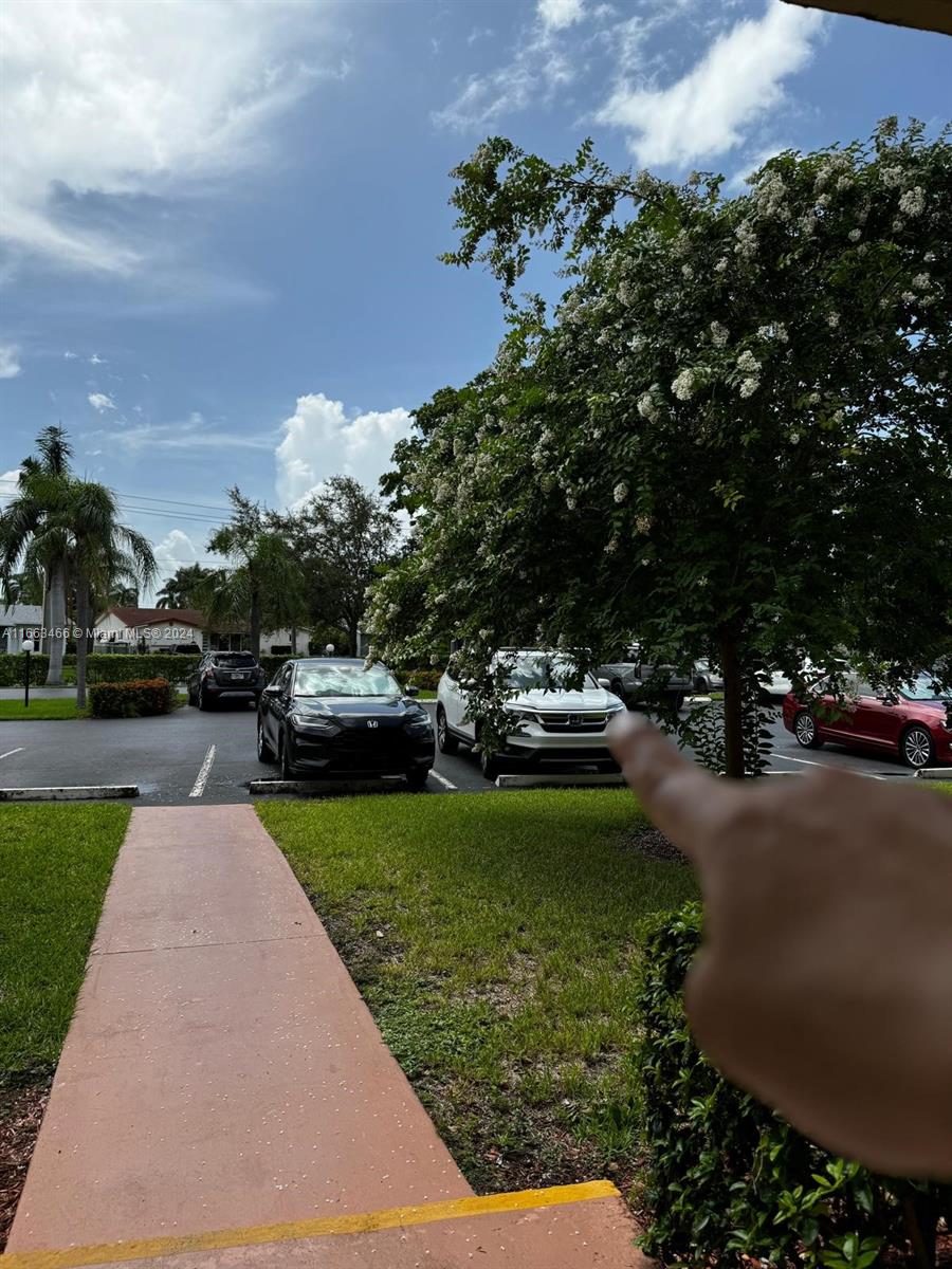 a view of a garden with cars