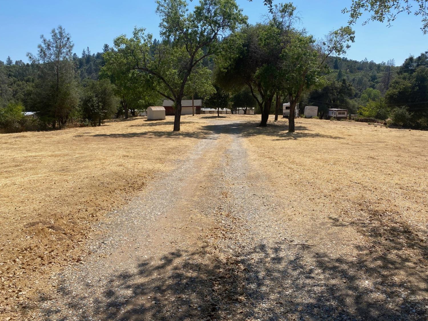 a view of outdoor space with trees