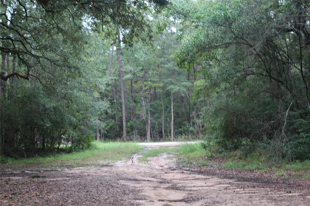 SHARED DRIVEWAY FACING FM 1725