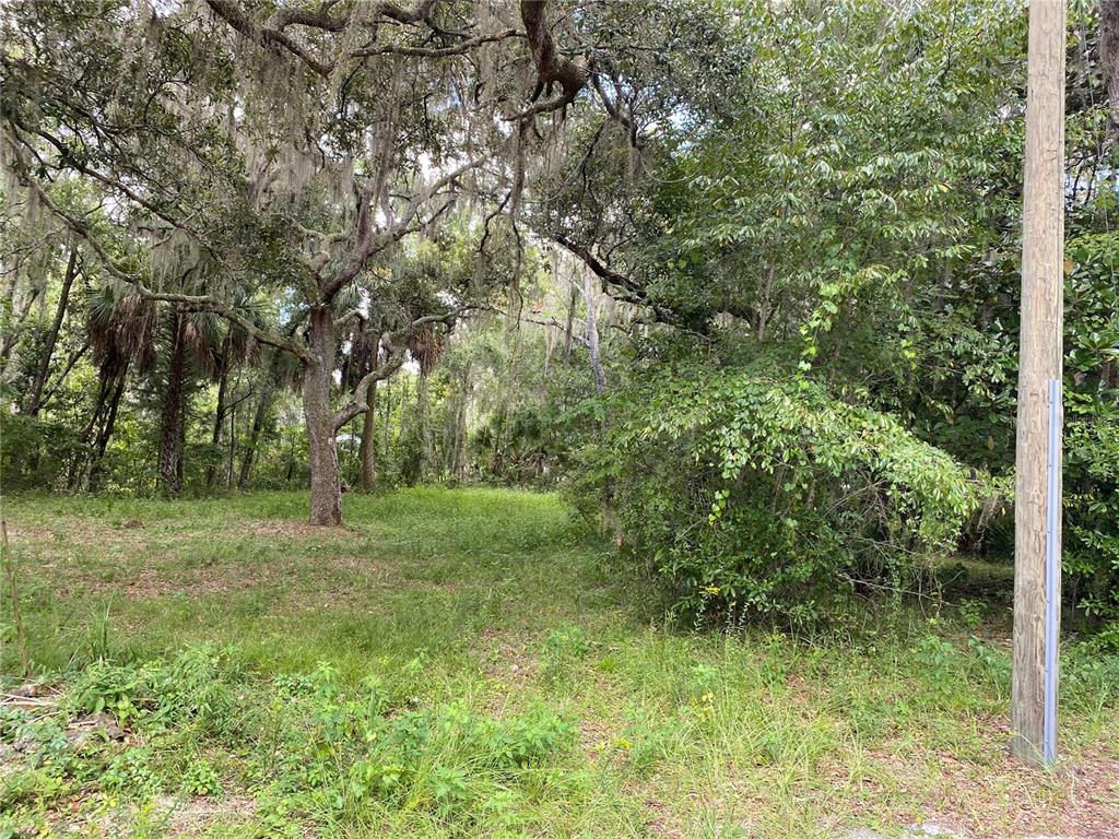 a view of outdoor space and yard