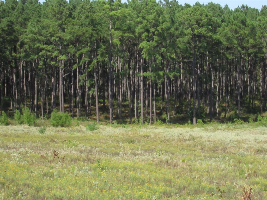 a view of outdoor space with green field and trees