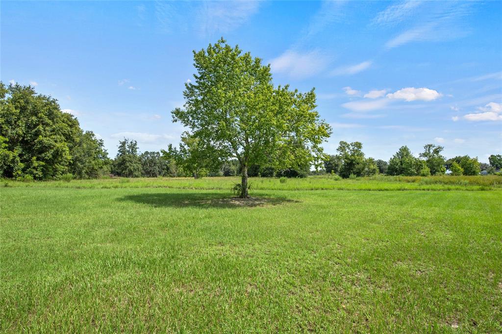 a view of a green field