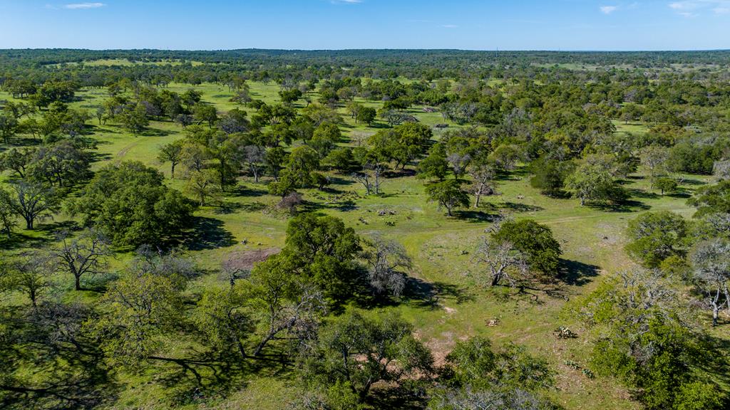 a view of a lush green field