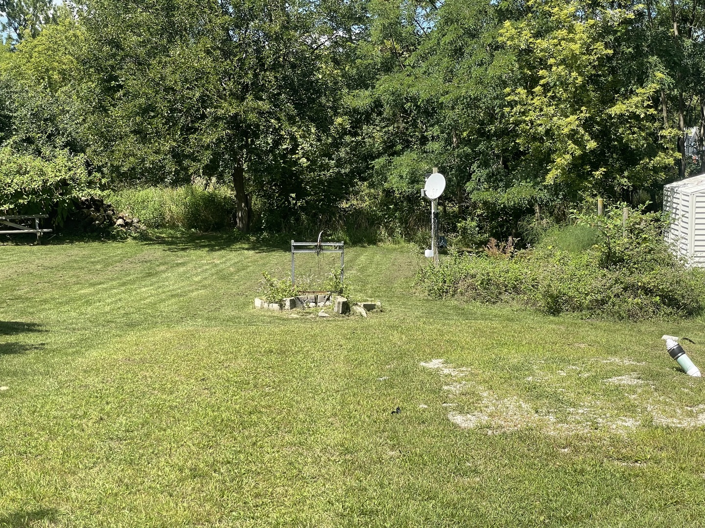 a view of a field with a tree