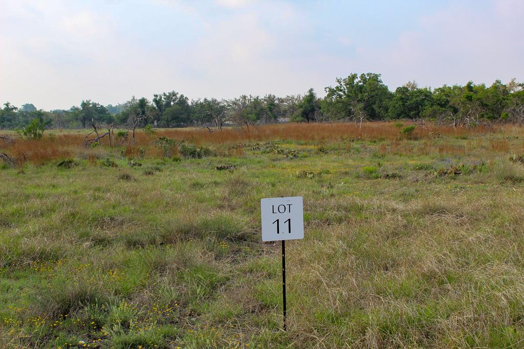 a view of a field with trees in the background