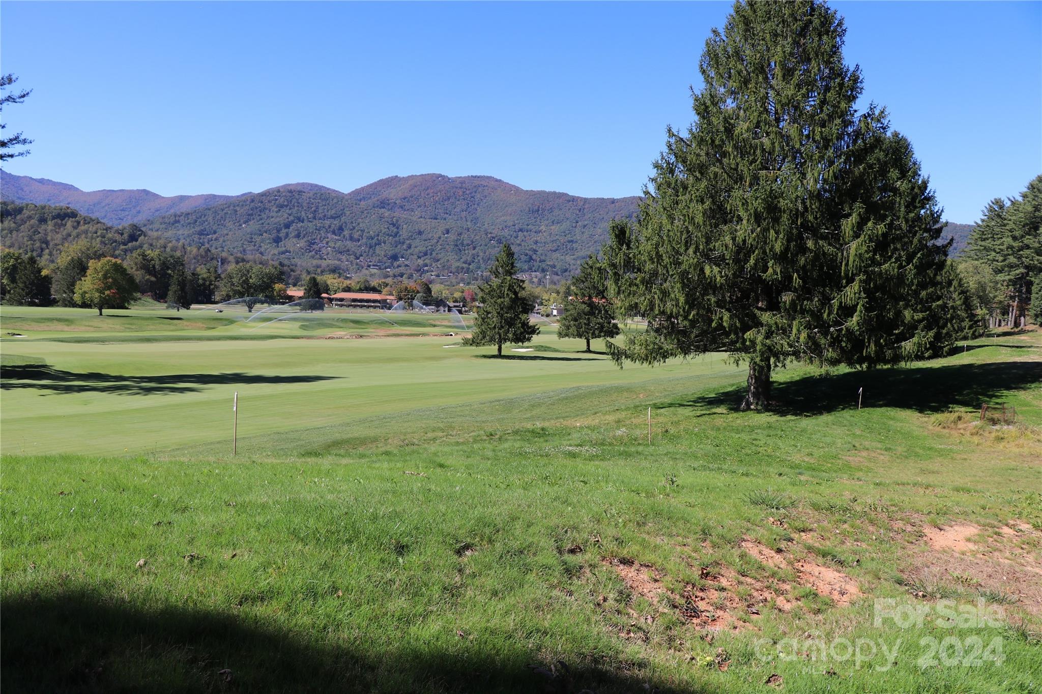 a view of a grassy field with mountains in the background