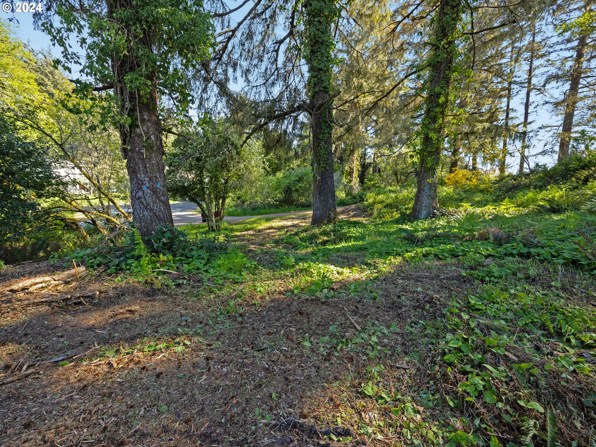 a big yard with lots of green space and trees