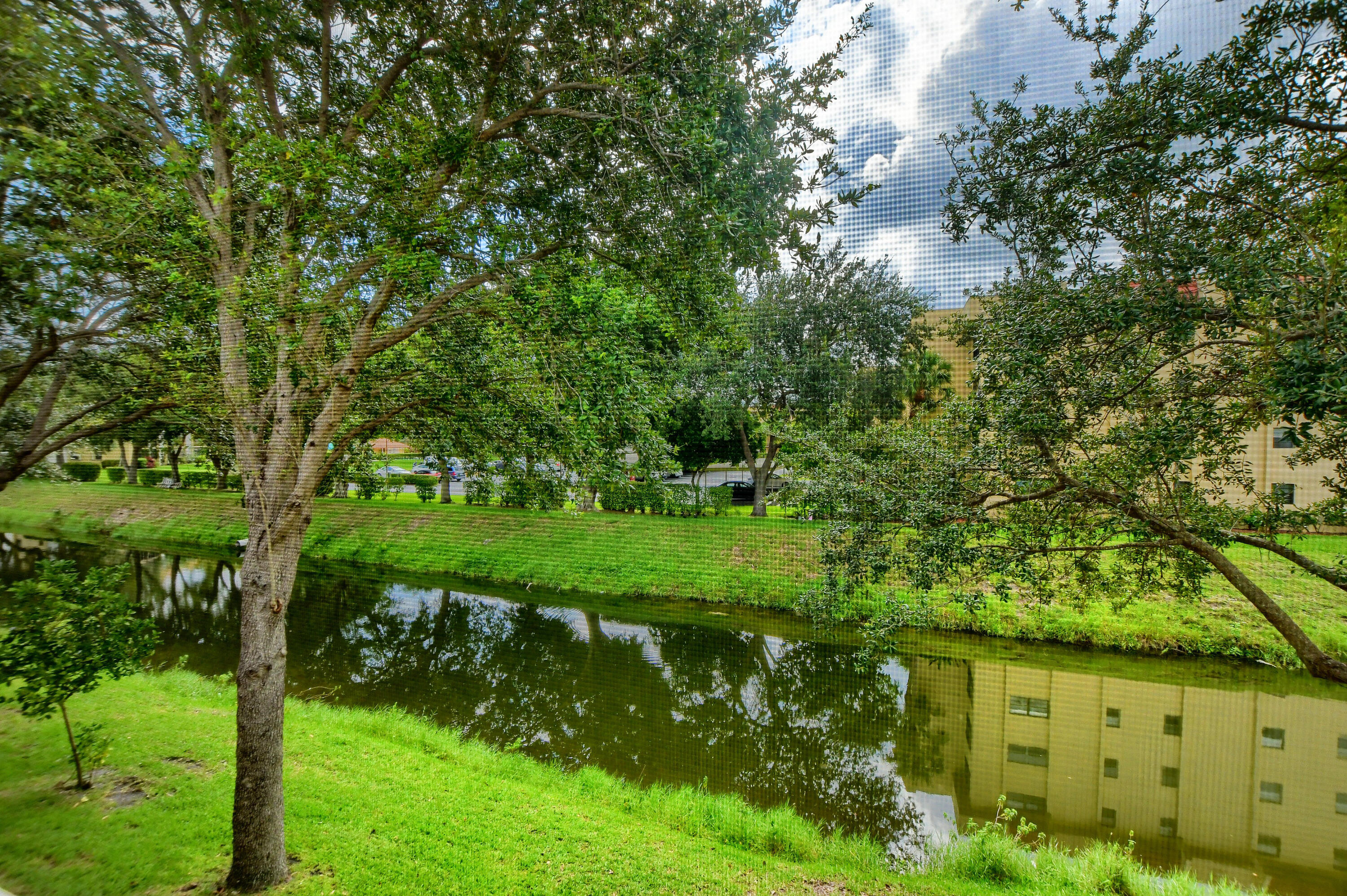 a view of a garden with a tree