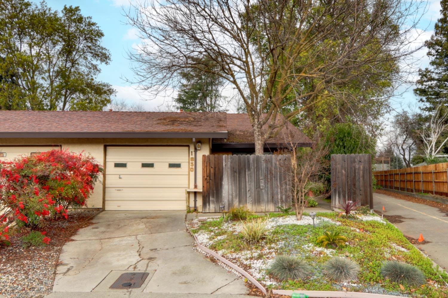 a front view of house with a garden