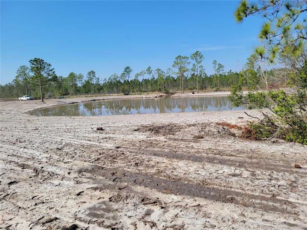 Lot 15 Omega Ranch Road New Smyrna Beach FL 32168 Compass