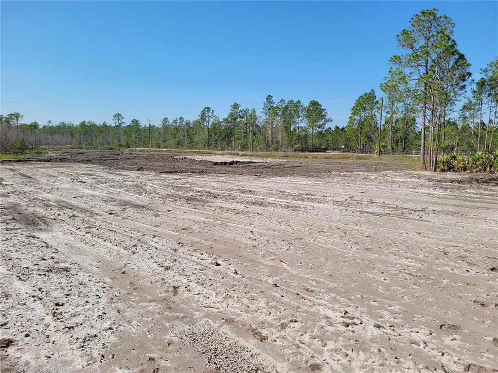 Lot 15 Omega Ranch Road New Smyrna Beach FL 32168 Compass