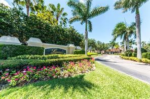 a view of a garden with palm trees