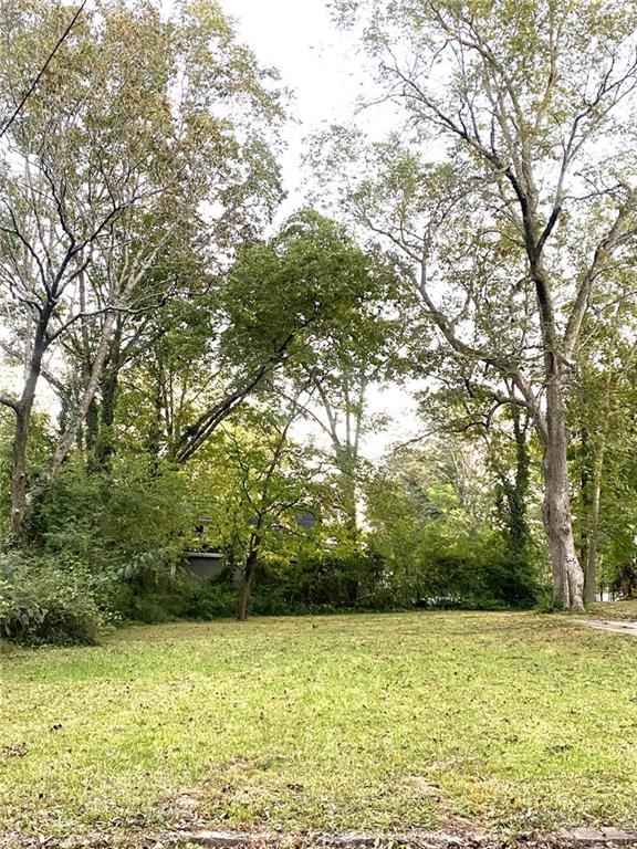 a view of a yard with a trees