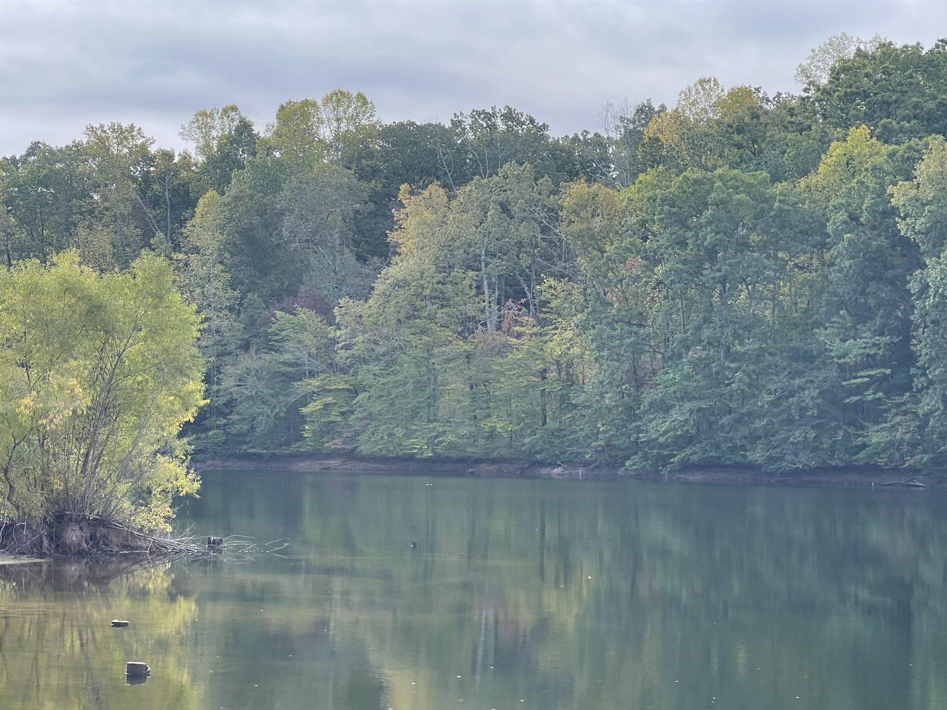 a view of a lake from a yard