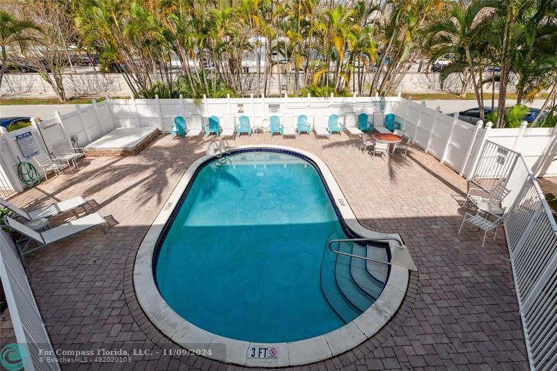 Tropical setting for the pool