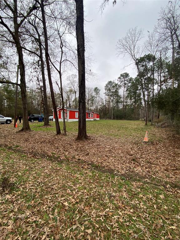 View of east side of property from the street toward the back of Lot 50, has been cleared