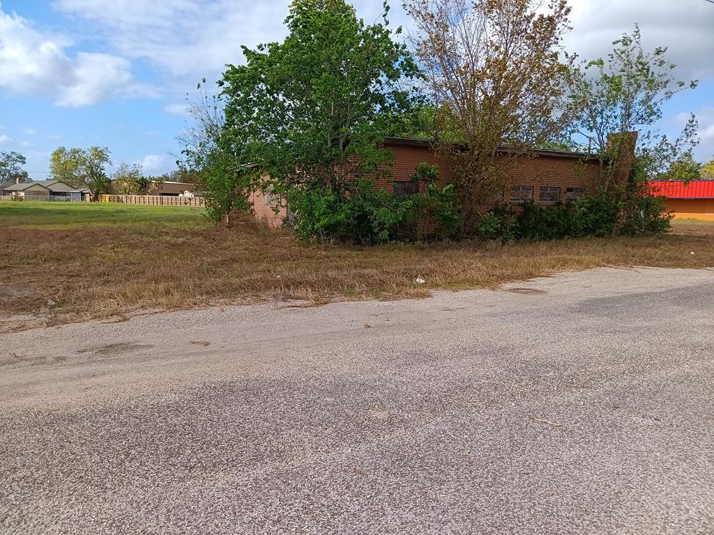 a view of a yard with a tree