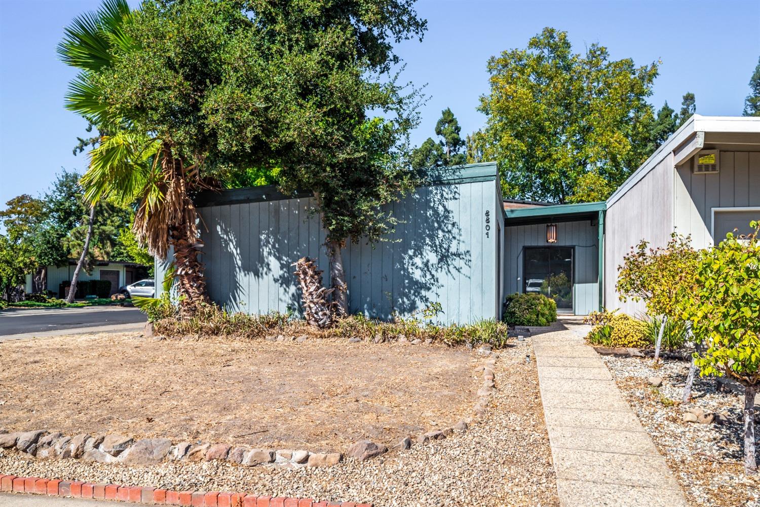 a backyard of a house with plants and trees