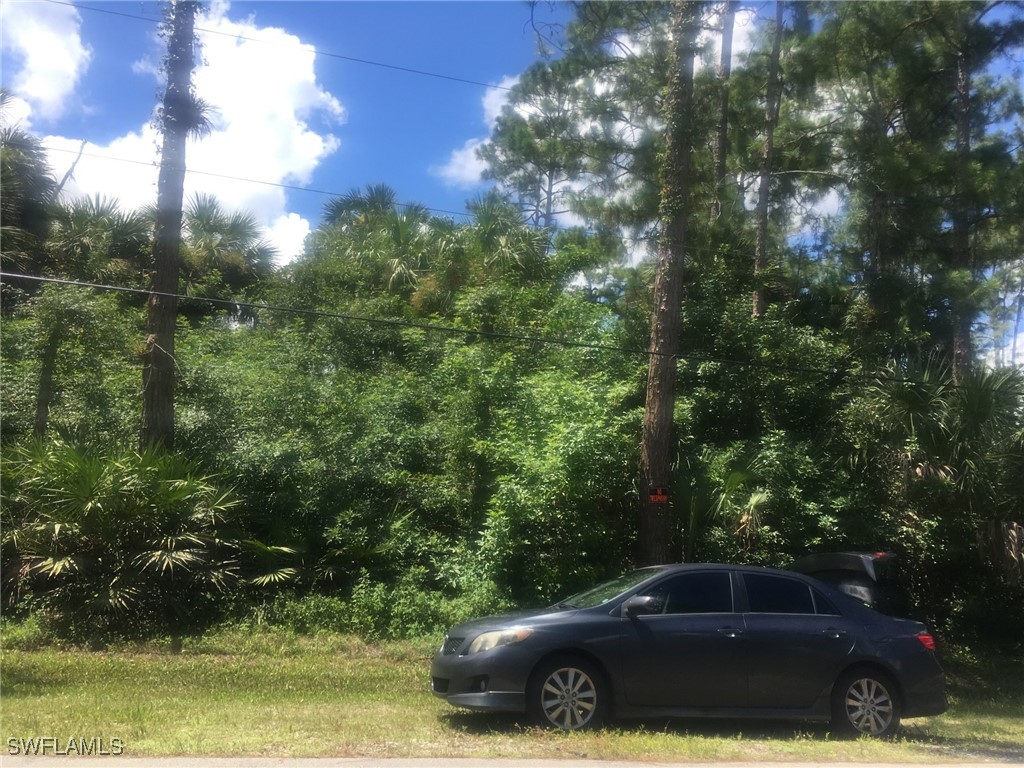 a car parked in the middle of a forest