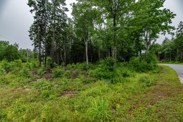 $115,000 | Lot 45 Estates Road | Steuben