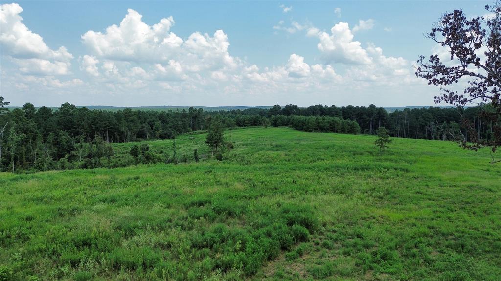 a view of a grassy field