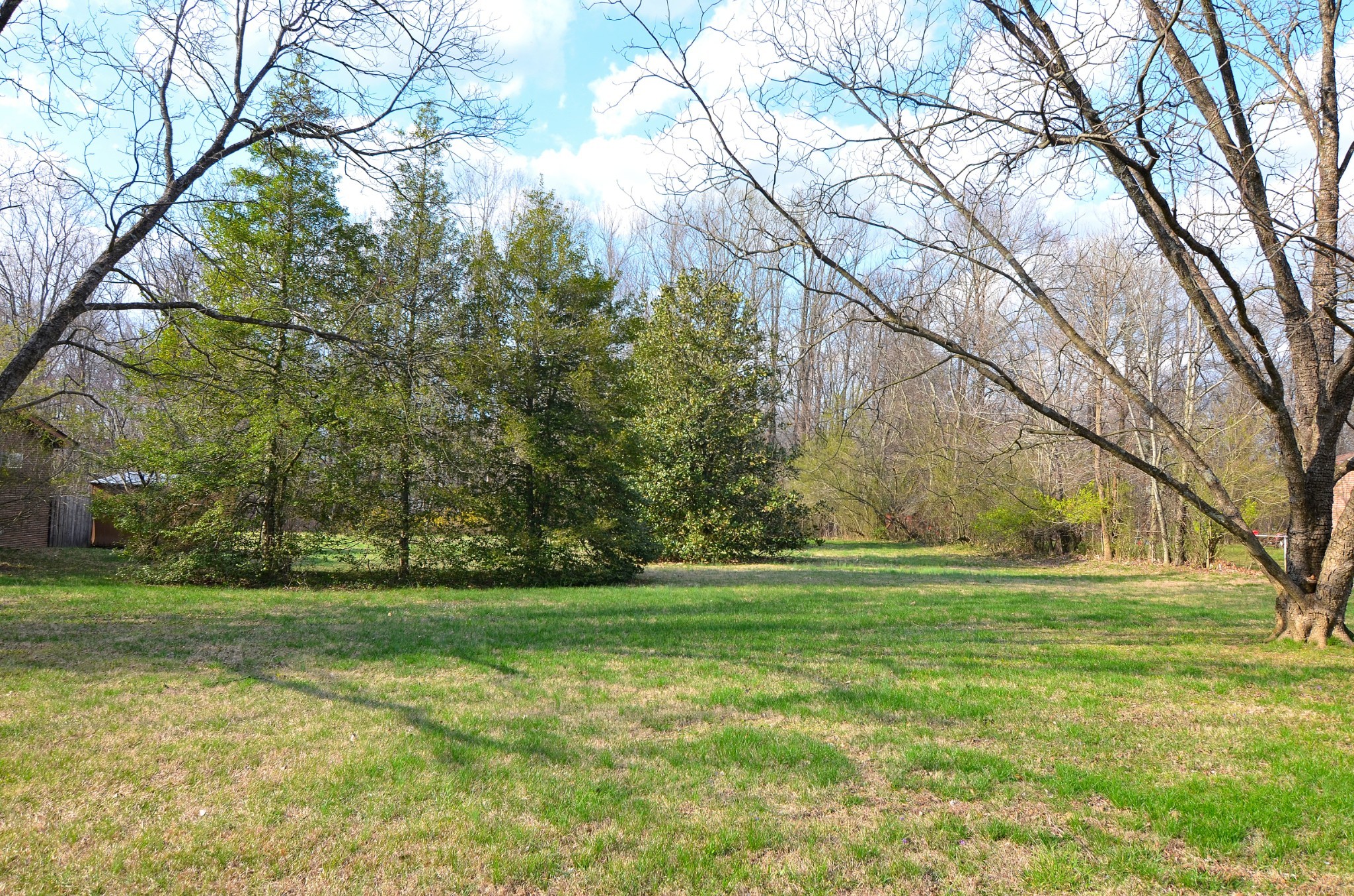 a view of a grassy field with trees