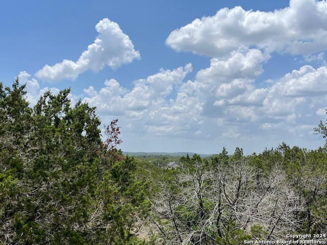 a view of a bunch of trees