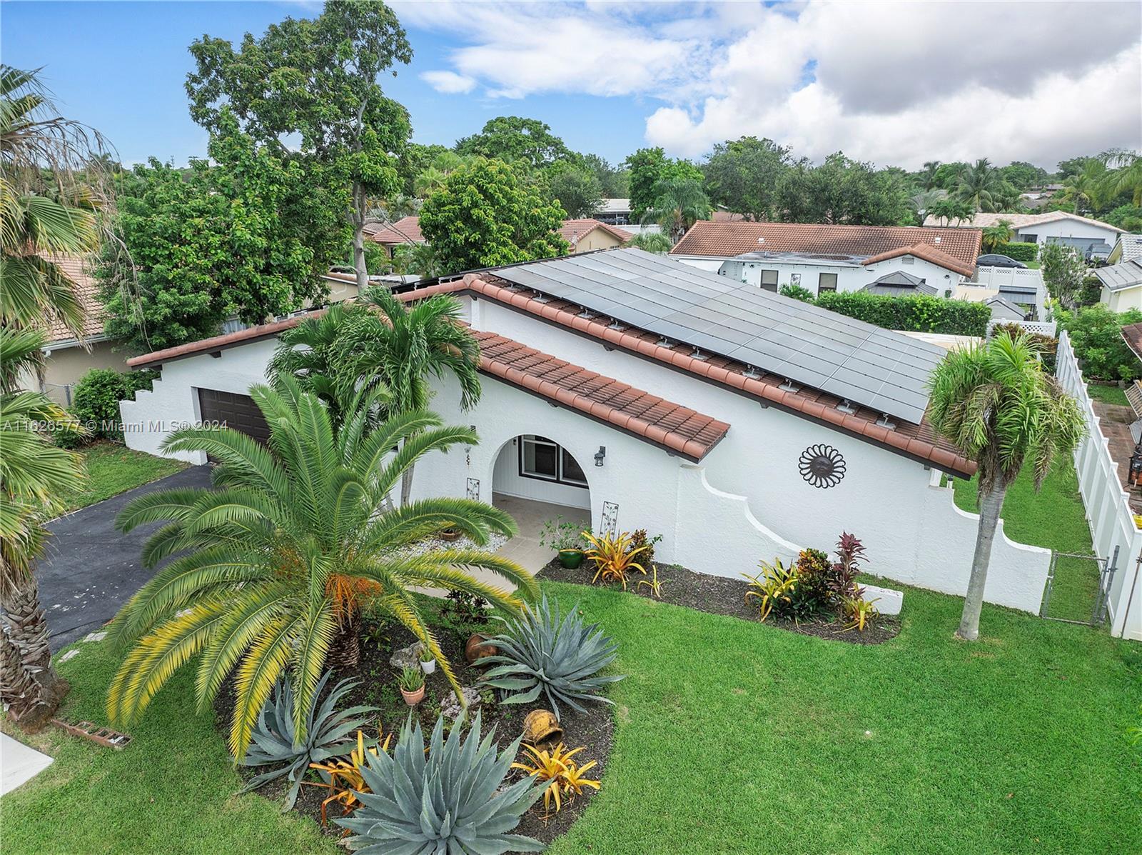 a view of a yard with plants and a large tree