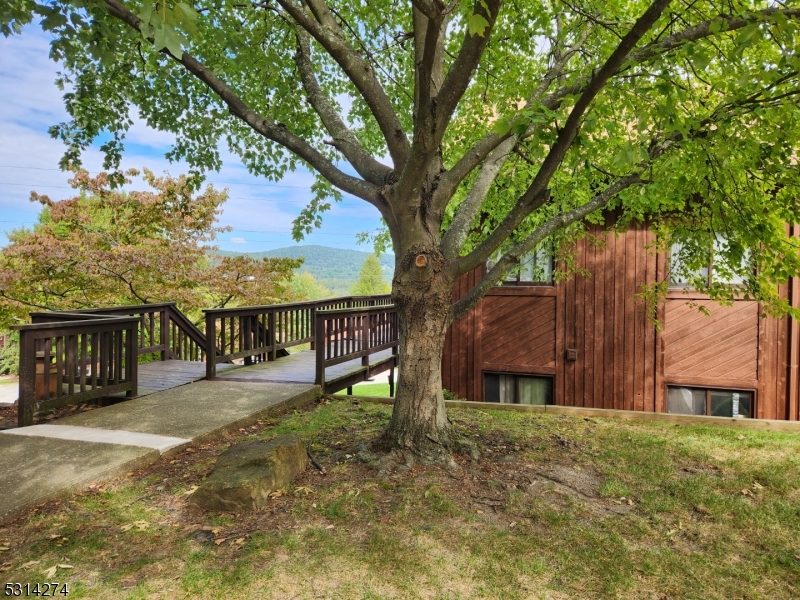 a view of a house with backyard and tree