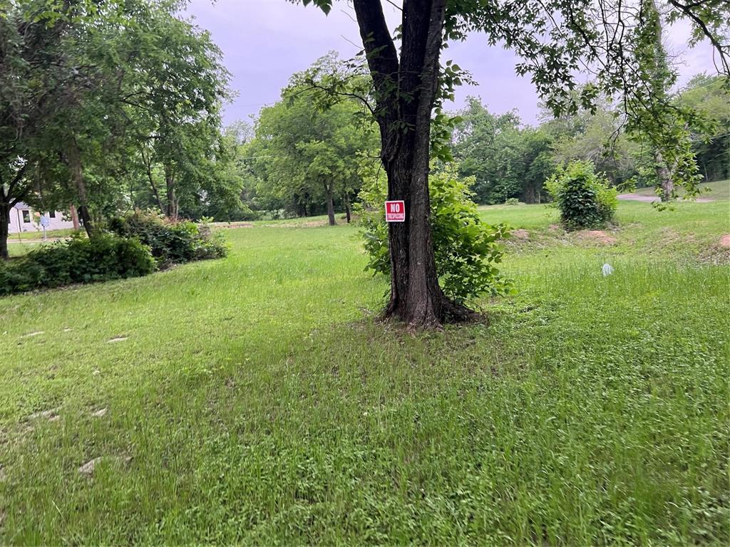 a view of an trees with a yard