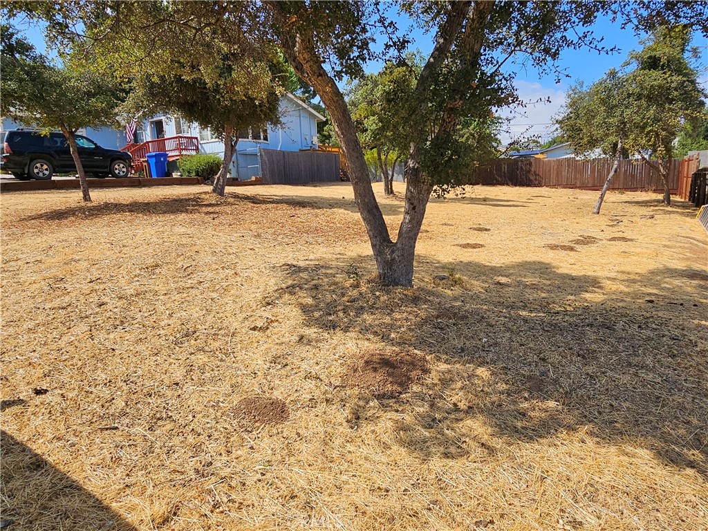 a view of a yard with a tree