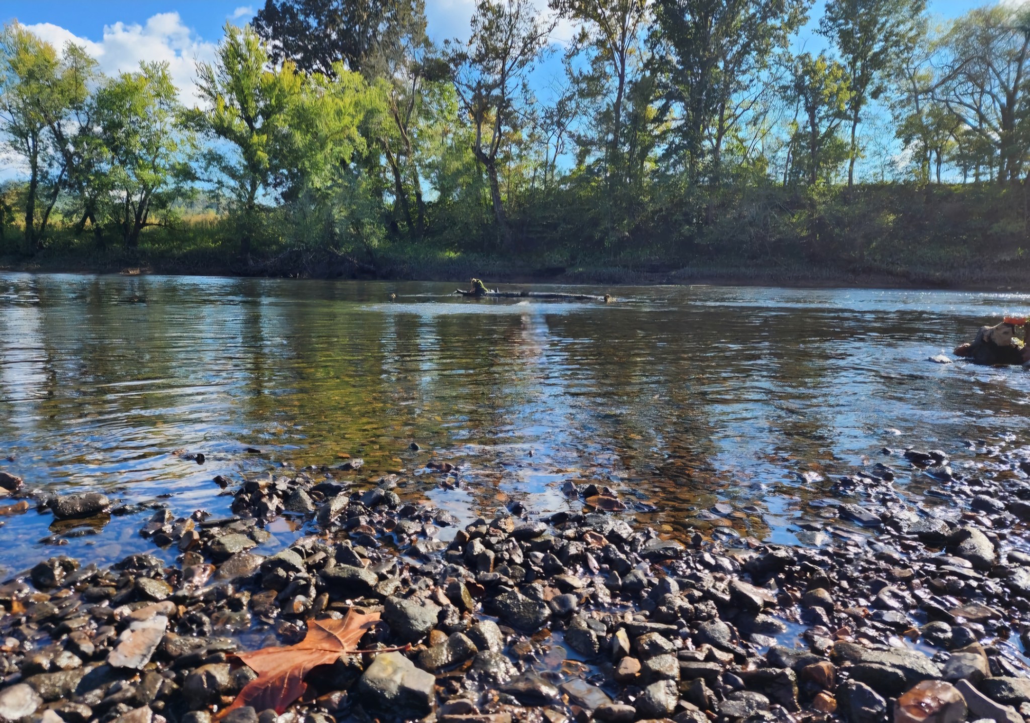 a view of a large body of water surrounded by trees