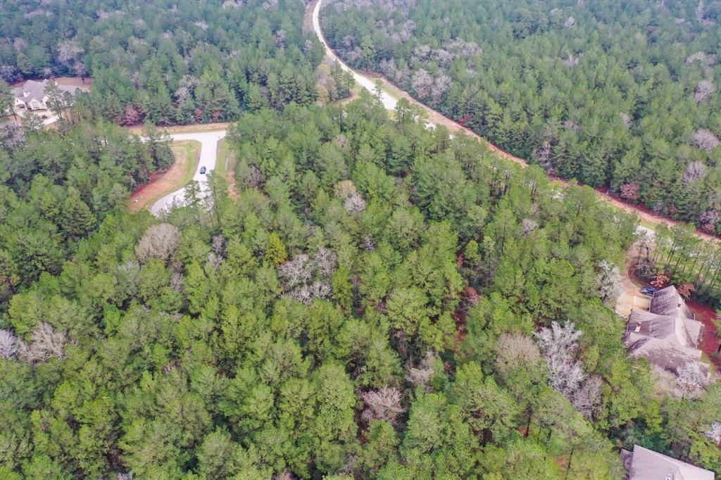 a view of a forest with a houses