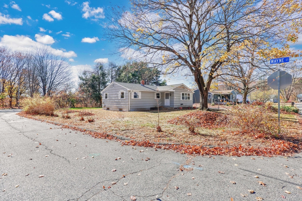 a large tree in front of house