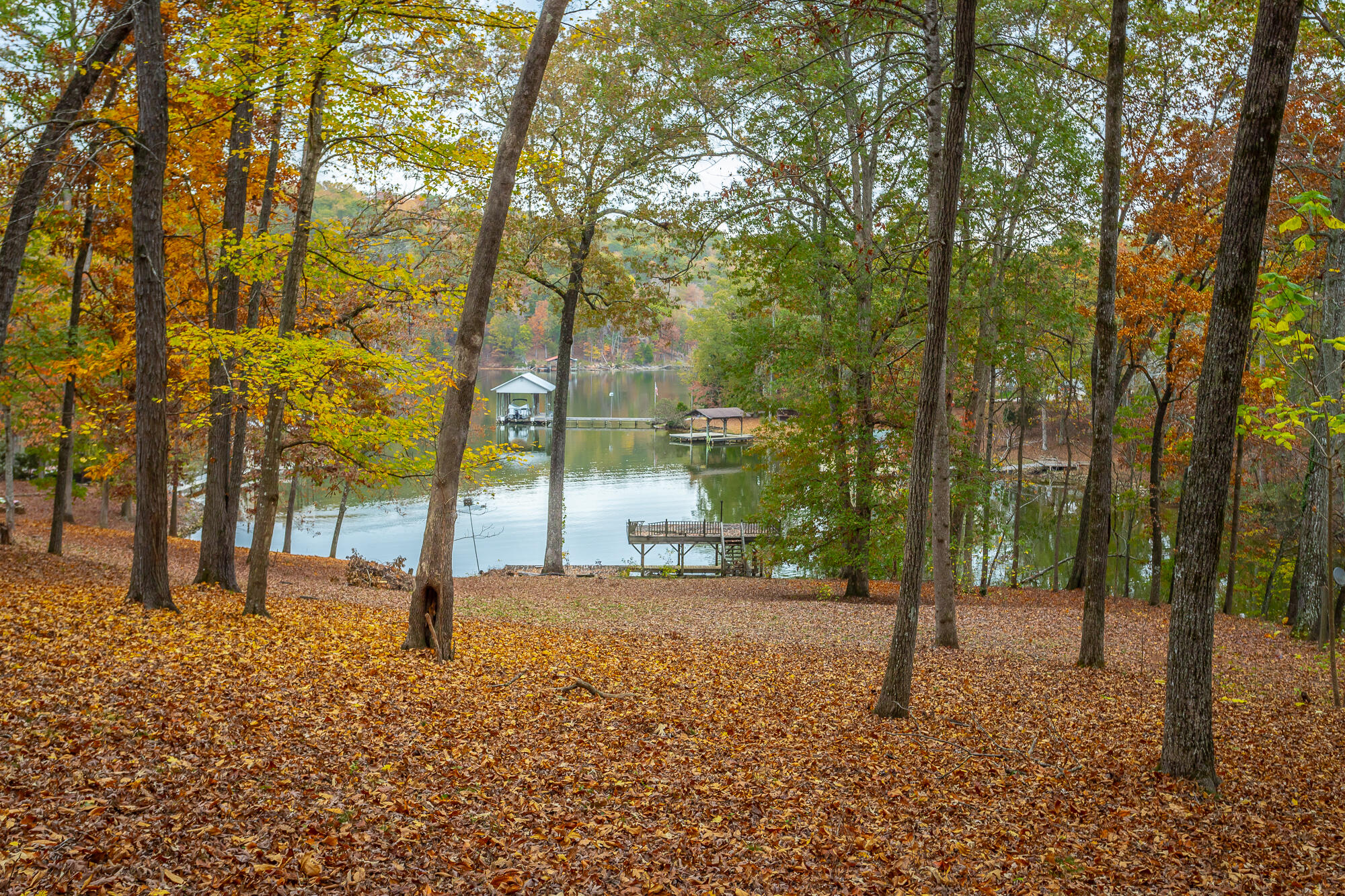 Gently slope to lake