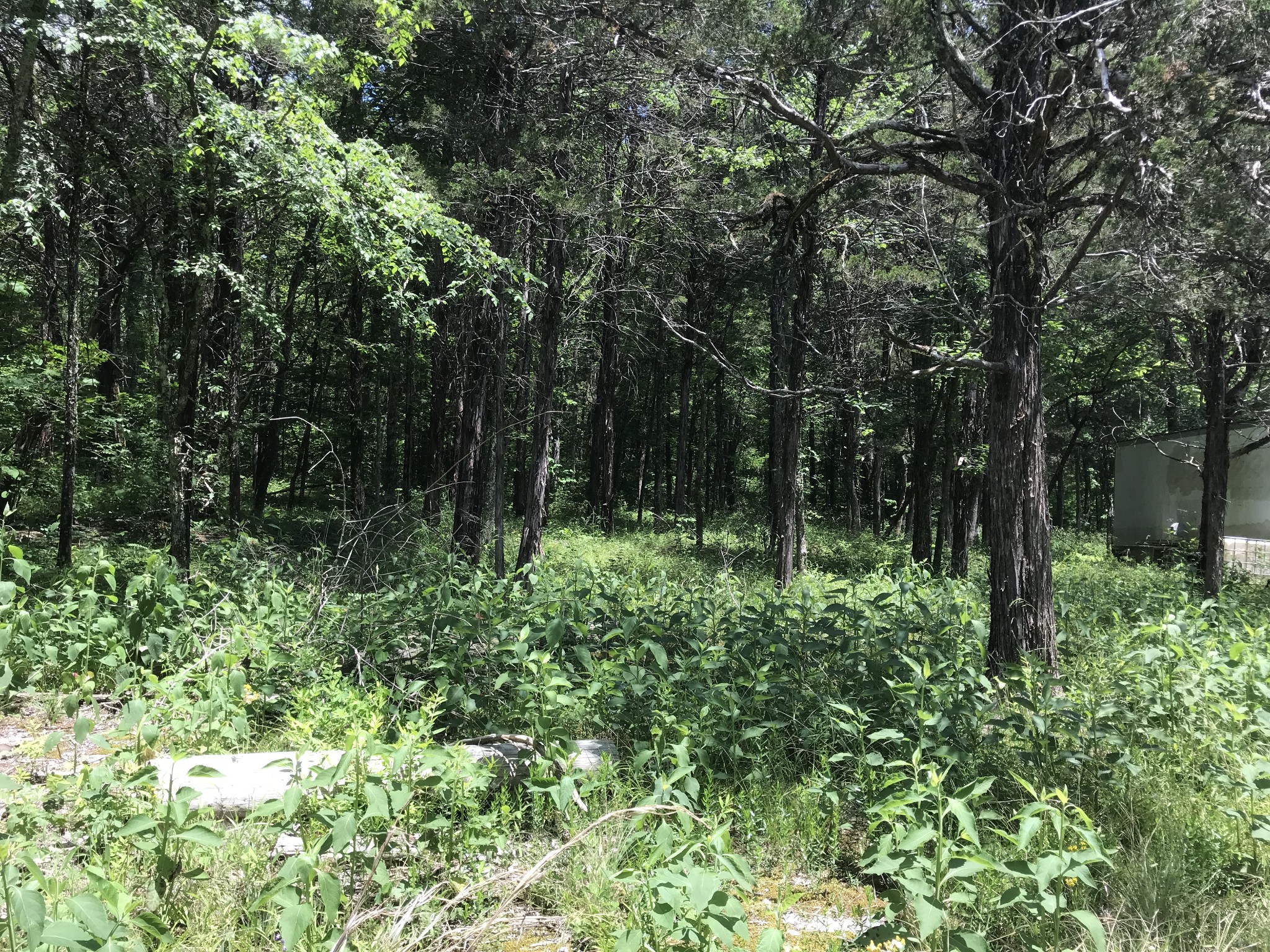 a view of outdoor space and green space