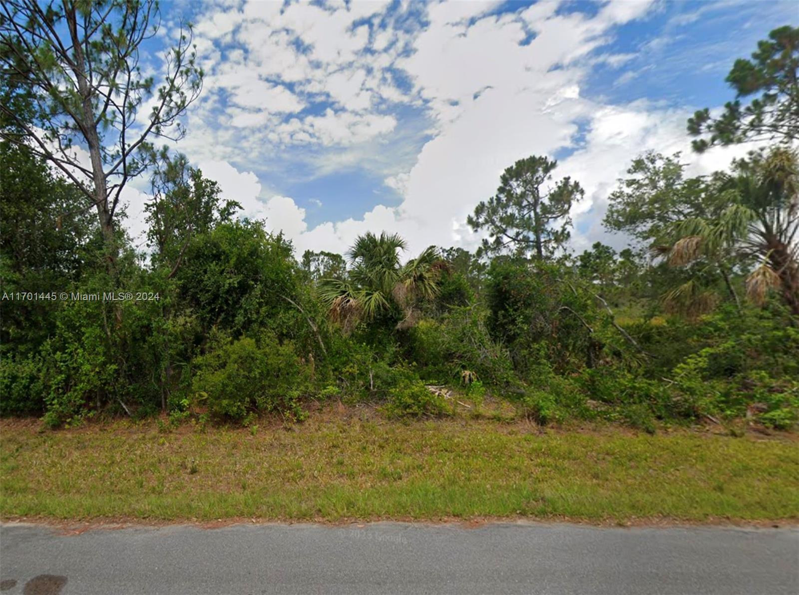 a view of a yard with a tree