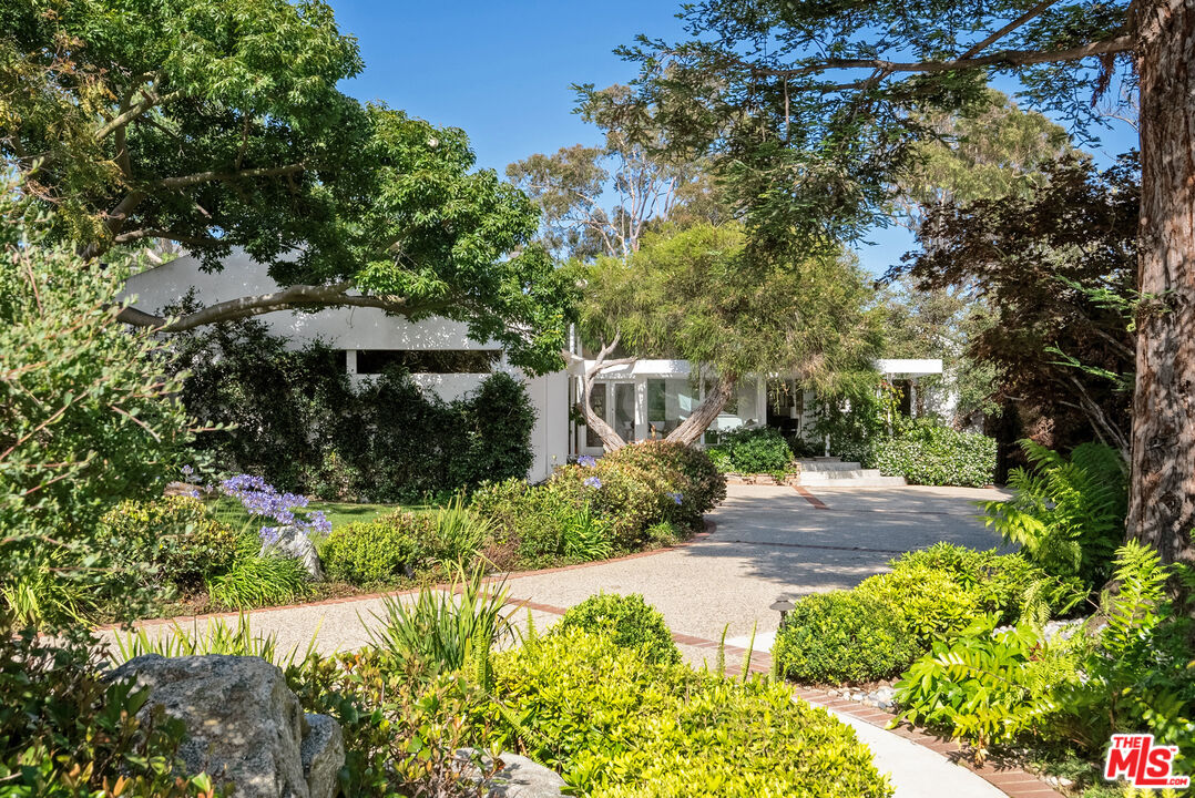 a view of a garden with pathway