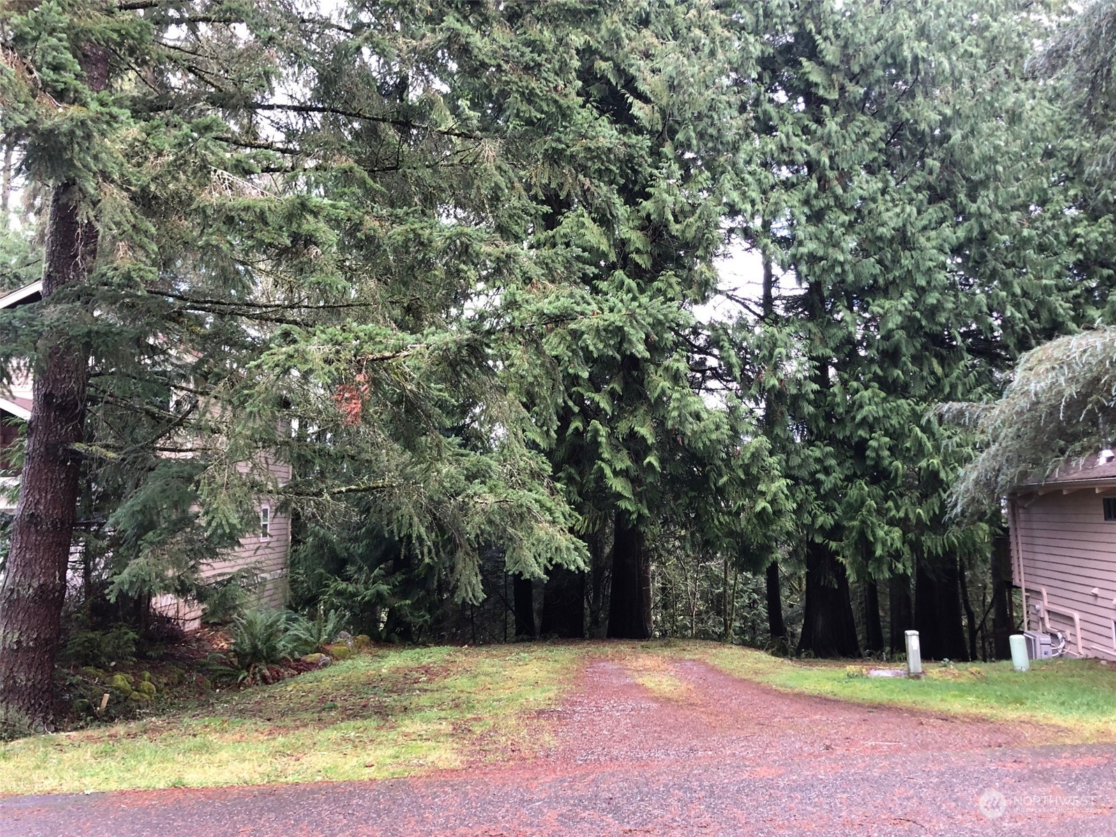 a house with trees in front of it