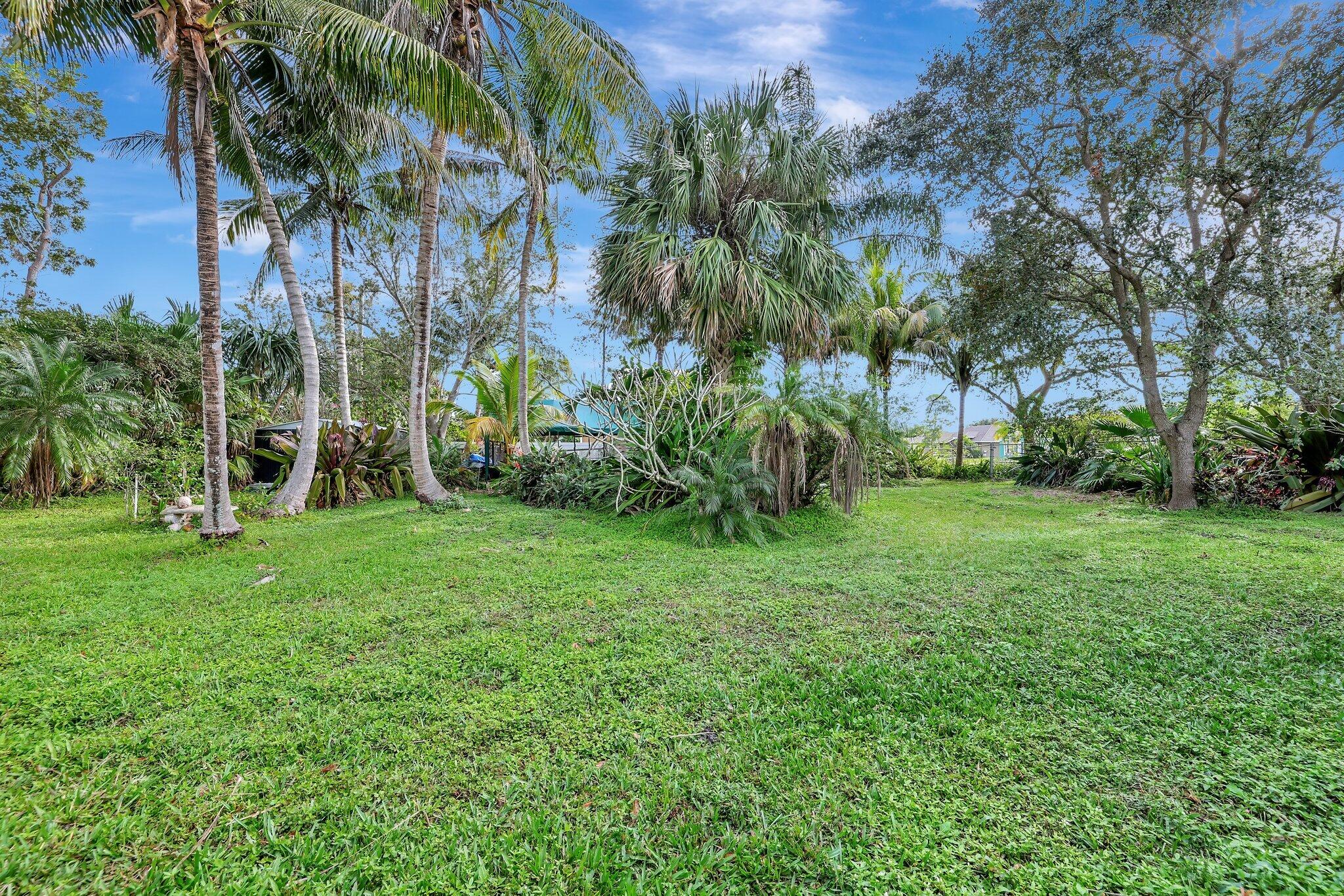 a view of a backyard with a trees