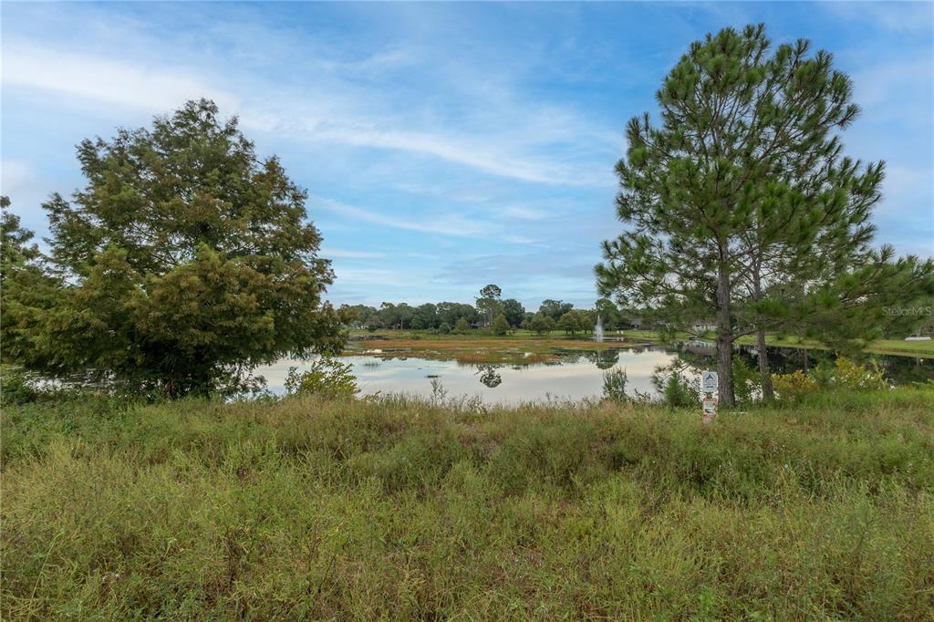 a view of lake with green space