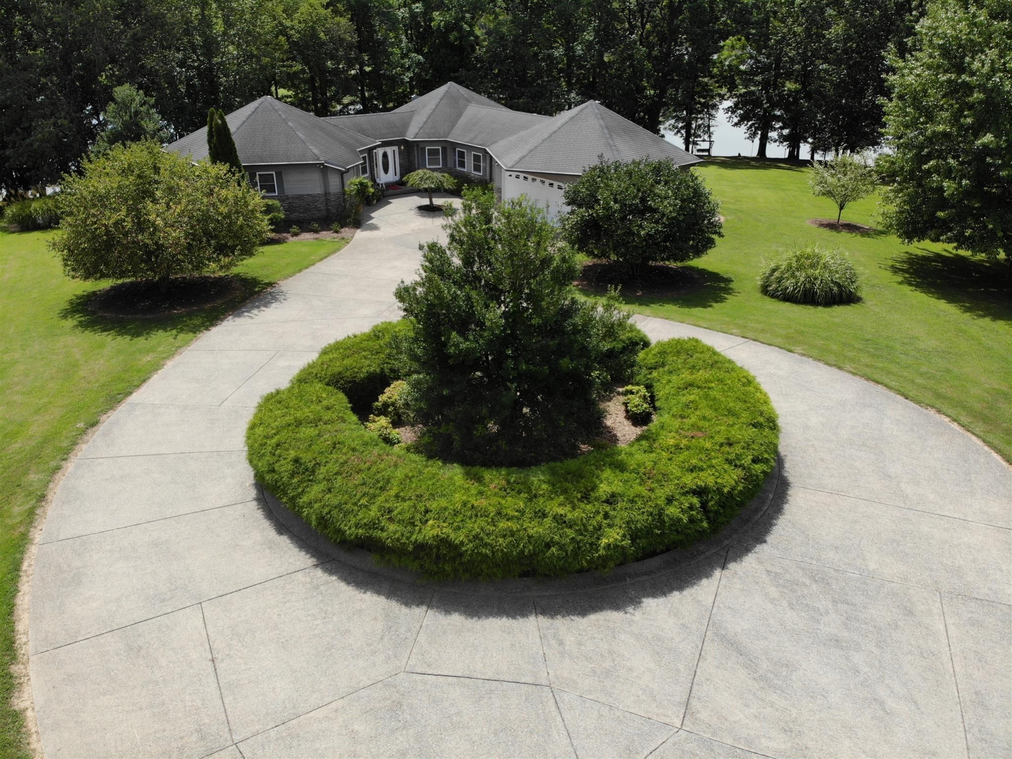 a view of a backyard with plants